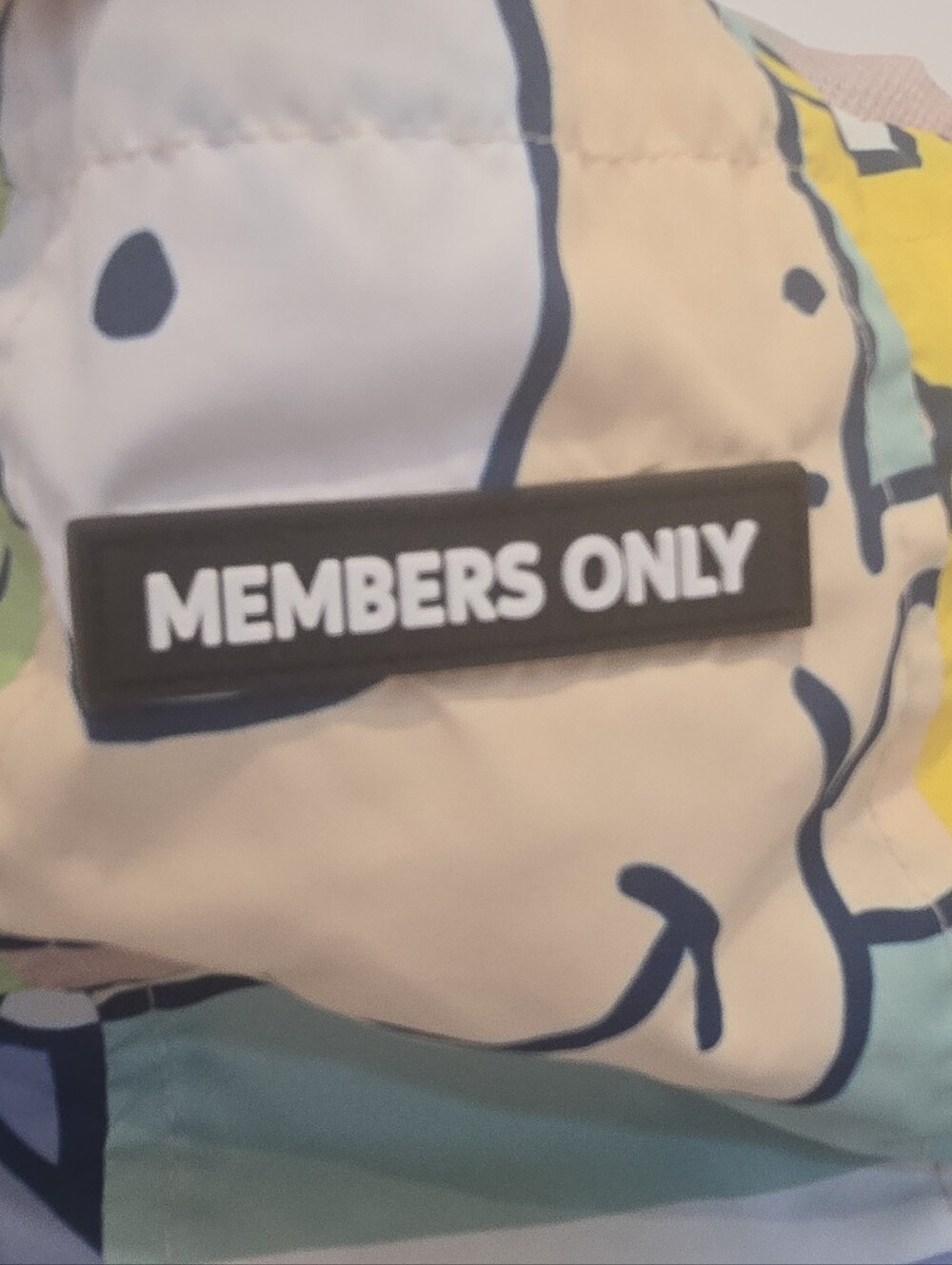Nickelodeon Rugrats X Members Only Pastel Jacket With Hood - Picture 6 of 7
